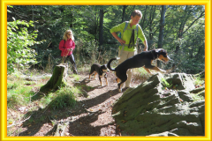 Goldener Bilderrahmen 2015