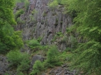 30_IMG_8716_a