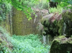 310_IMG_9052_a