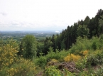 320_IMG_9064_a