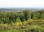 330_IMG_9067_a
