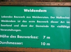 350_IMG_9087_a