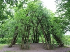 360_IMG_9089_a