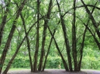 370_IMG_9092_a