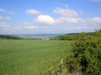 660_IMG_9338_a