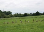00_IMG_9543_a