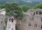 90_IMG_0220_a