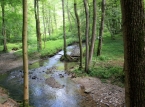 60_IMG_0375_a
