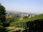10_IMG_0785_a