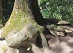 140_IMG_0858_a