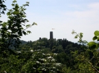 150_IMG_0864_a