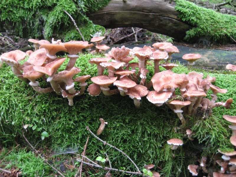 040_IMG_3190_a