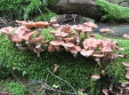 040_IMG_3190_a