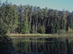 380_IMG_3203_a