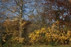 050_IMG_3465_a