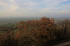 190_IMG_3502_a