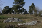 150_P1030141