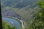480_P1040281_a