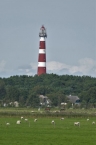 0510_P1070529_a