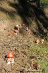02_IMG_0058_a