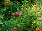 Noch ein Blumenbeet