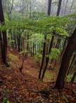 WL_Premiumweg 4